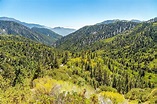 San Bernardino National Forest - WorldAtlas