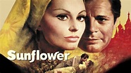 Sunflower 1970 Trailer - YouTube
