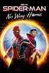 Spider-Man: No Way Home (2021) - Posters — The Movie Database (TMDB)