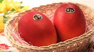 最高價的芒果！日本「太陽之子」 兩顆11萬元賣出 | 國際 | 三立新聞網 SETN.COM
