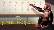 The Jennie Project (2001)