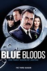 Blue Bloods Saison 3 - AlloCiné