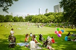 Best picnic spots in Central Park for a picturesque, outdoor meal