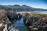 A Wanderer's Guide To Point Lobos State Reserve, California