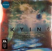 The Horrors – Skying (2011, Vinyl) - Discogs