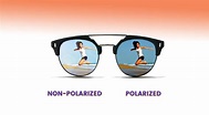 Polarized Sunglasses vs. Regular Sunglasses: What's the Difference ...