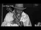 Eddie Clearwater-Cool Blues Walk - YouTube