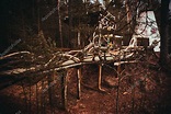 Una yurta tradicional y un puente de madera hecho de ramas en el bosque ...