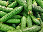 Cucumbers: Planting, Growing, and Harvesting Cucumbers | The Old Farmer ...