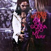 Lenny Kravitz: Are You Gonna Go My Way (180g) (2 LPs) – jpc