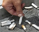 因應日本菸稅調漲 香菸品牌雲絲頓下月祭出「減量降價」 - 國際 - 自由時報電子報