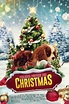 Project Puppies for Christmas (2019) Stream and Watch Online | Moviefone