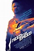 Need for speed: La película (2014) - FilmAffinity
