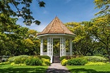 Singapore Botanic Gardens - World Heritage Site in the Heart of ...