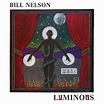 Bill Nelson - Luminous - Reviews - Album of The Year
