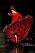 Macarena Cortés - | Flamenco dress, Flamenco dancers, Spanish dress