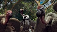 Image - Vultures the wild.jpg | Disney Wiki | FANDOM powered by Wikia