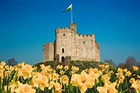 Cardiff Castle - British Castles