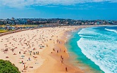 Everything You Need To Know About Bondi | Eastern Sydney