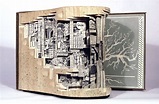 Artist Takes Old Books and Gives Them New Life as Intricate Sculptures ...