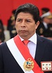 Presidency of Pedro Castillo - Wikipedia