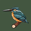 Kingfisher Cartoon Vector Art Digital Art Digital Art | Etsy