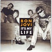 Bon Jovi - It's My Life (2001, CD) | Discogs