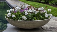 Campania International, Inc Zen Bowl Cast Stone Pot Planter | Perigold ...