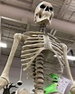 12 Ft. Giant-Sized Skeleton With Life Eyes Amazon - Janainataba