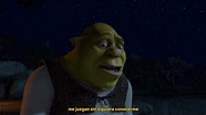 Me juzgan sin siquiera conocerme, por eso prefiere estar solo / Shrek ...