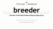 Pronunciation of Breeder | Definition of Breeder - YouTube