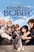 Greyfriars Bobby: The True Story of a Dog | Greyfriars bobby, Classic ...