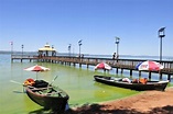 La recuperación del Lago Ypacaraí tomará 10 años - Paraguay.com