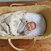 Moses Basket | Natural baby, Baby sleep, Basket bassinet
