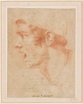 Aniello Falcone | Portrait of Masaniello | Drawings Online | The Morgan ...