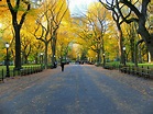 Central Park à New York - NewYorkCity.fr