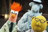 Every Muppet That Matters, Ranked | The muppet show, Muppets, Beaker ...