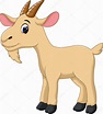 Pin by Juliana on Animals - Juliana | Goat cartoon, Cute goats, Cartoon