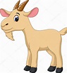 Pin by Juliana on Animals - Juliana | Goat cartoon, Cute goats, Drawing ...