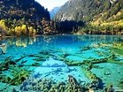 Lago dei cinque fiori: il lago incantato della Valle di Jiuzhaigou ...