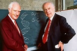 1953 - James Watson y Francis Crick descubren la estructura en doble ...