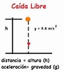 Caída Libre | Fisica Paso a Paso