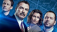 Blue Bloods Season 14 Release Date, News