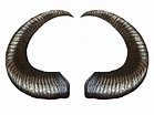 Animal Horns PNG Picture - PNG All | PNG All