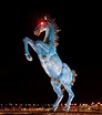 Blue Mustang - Wikipedia