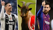 What is a GOAT in football? Lionel Messi vs Cristiano Ronaldo & the ...