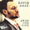 David Gray - Draw The Line (2010, CDr) | Discogs