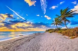 ¿Qué hacer en Palm Beach, el lujoso destino de Florida?