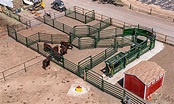 5 simple steps to designing beef cattle corrals | AGDAILY