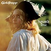 Goldfrapp - Seventh Tree Lyrics and Tracklist | Genius